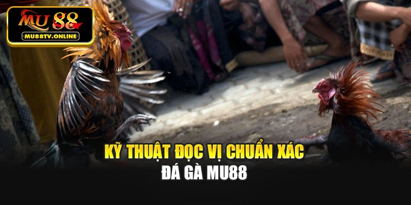 Kỹ thuật đọc vị chuẩn xác đá gà Mu88