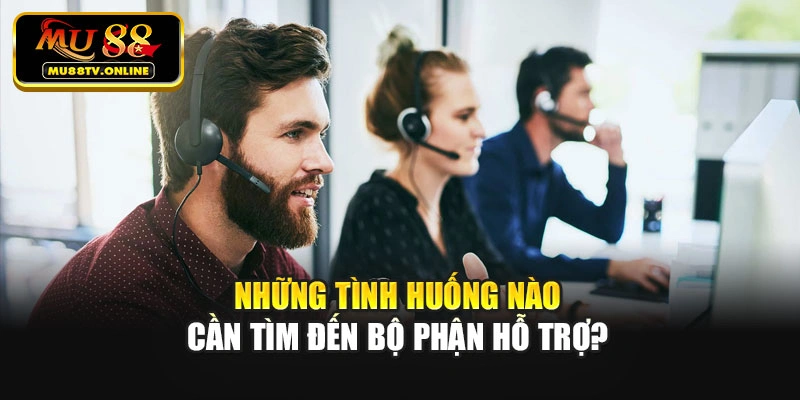 Những tình huống nào cần tìm đến bộ phận hỗ trợ